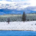 Yellowstone National Park In Winter, Wyoming