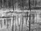 Mistry Creek, Wyoming (BW)