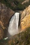Lower Falls Of The Yellowstone, Lookout Point, Wyoming