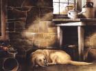 A Quiet Place