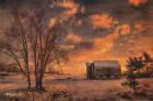 Big Tree, Little Barn