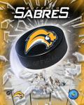 '06 / '07 - Sabres Team Logo
