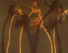 Stems 3