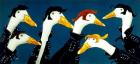 Ducktails