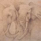 Elefantes en el Papel Uno