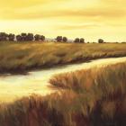 Golden Stream