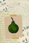 Poire