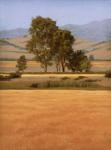 Trees in the Summer Fields