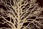 Tree in Sepia