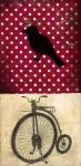 Bike and Bird