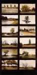 Twelve Trees