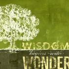 Wisdom Begins with Wonder