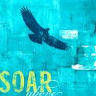 Soar Above