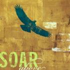 Soar Above 2