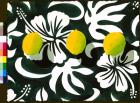 Three Lemons - Tropicalia Black