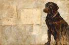 A Dog's Story 4