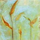 Peace Lily 1