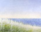 Yellow Beach Grass-Blue Water