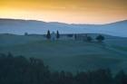 Tuscan Hills