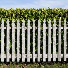 Willapa Fence