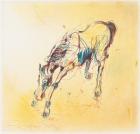 Horse studies 1, Fran Gyn
