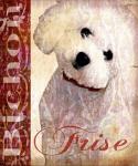 Bichon Frise