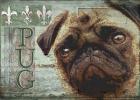 Pug