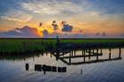 Marsh Sunrise