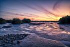 Low Tide At Cedar Key