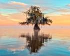 Lake Maurepas in Pastels