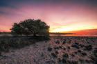 Cedar Key Sunrise