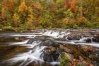 Autumn Bliss