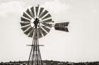 Bird on a Windmill