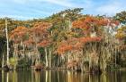 Autumn on Palourde