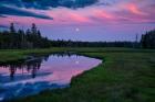 Moon Over Bass Harbor Marsh