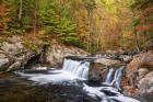 Baby Falls Tellico River