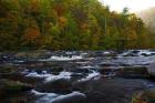 Autumn on the Tellico River