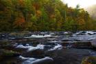 Autumn on the Tellico River