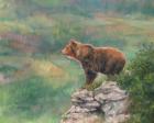 European Brown Bear