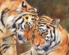 Tiger Love