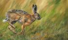 Hare Running