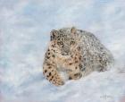 Snow Leopard Final