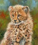 Cheetah Cub 3