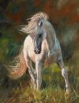 White Horse