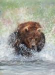 Bear Running Through Water