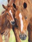 Horse And Foal