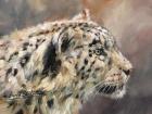 Snow Leopard 86