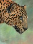 Leopard Profile