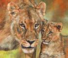 Lioness And Cub