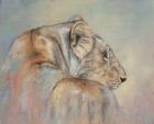 Lioness Fade